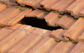 roof repair Leys