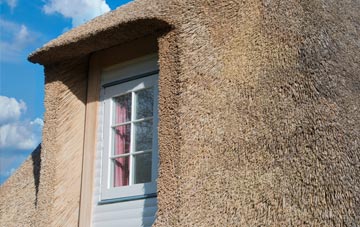 Leys thatch roof disadvantages